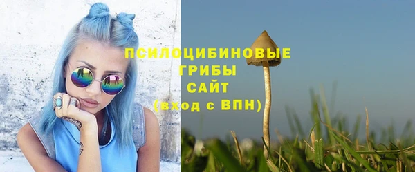 прущая мука Костерёво