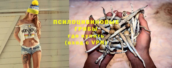 гидропоника Корсаков