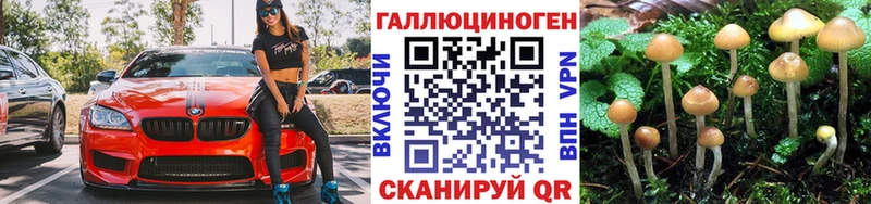 блэк спрут вход  Спас-Клепики  Галлюциногенные грибы мицелий 